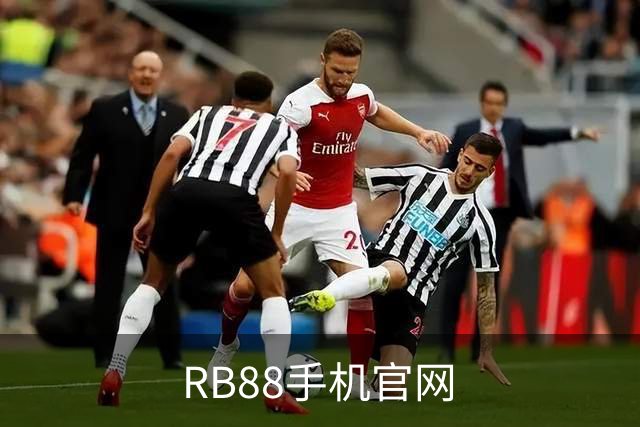 RB88手机官网公司介绍图片